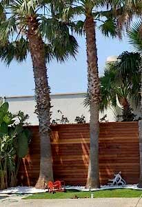 BODRİUM OTEL & SPA – 2019 görsel 7